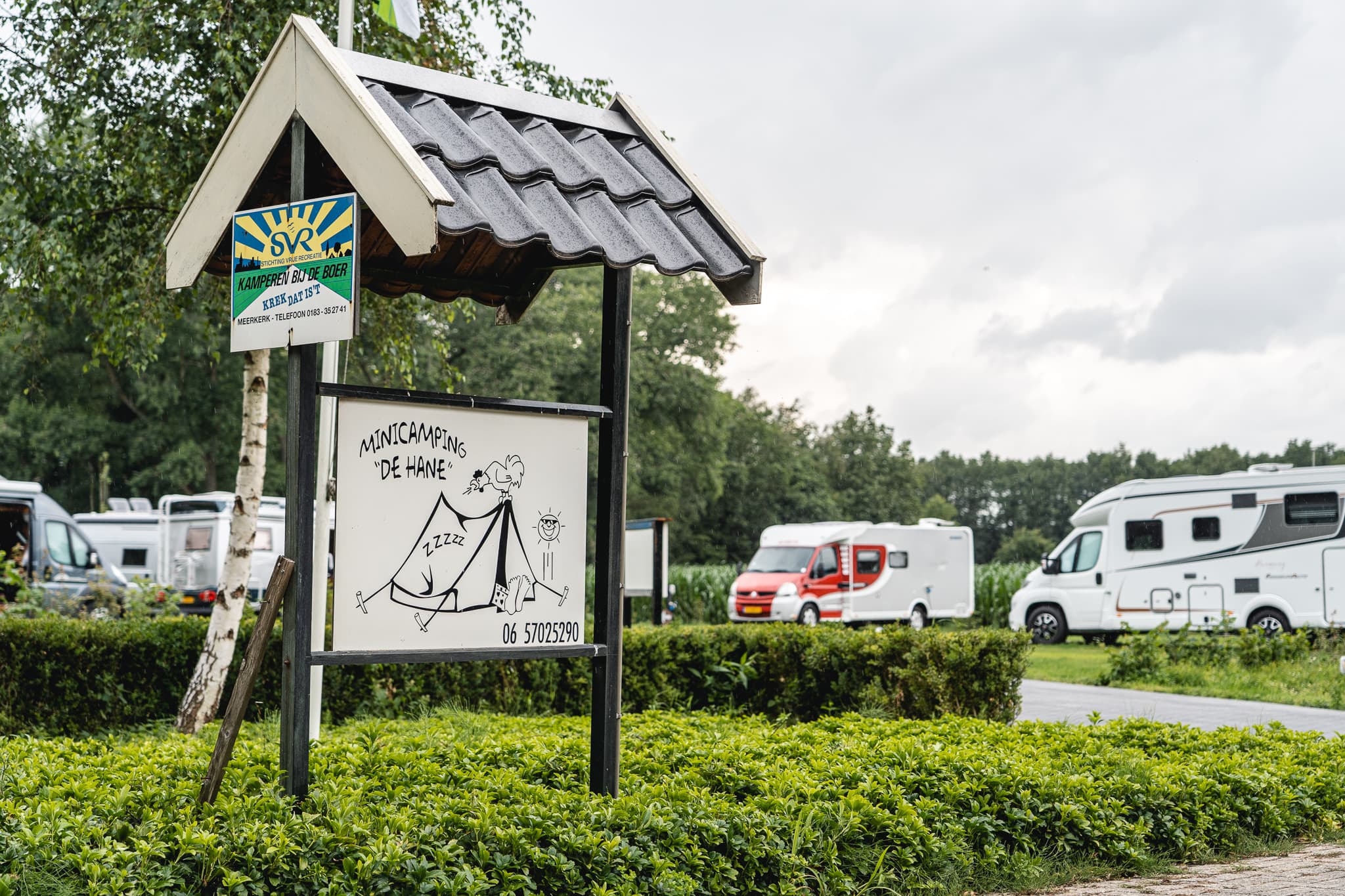 Camper tussen groen