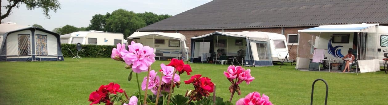 Tenten, caravan en bloemen op Minicamping De Hane